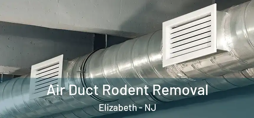  Air Duct Rodent Removal Elizabeth - NJ
