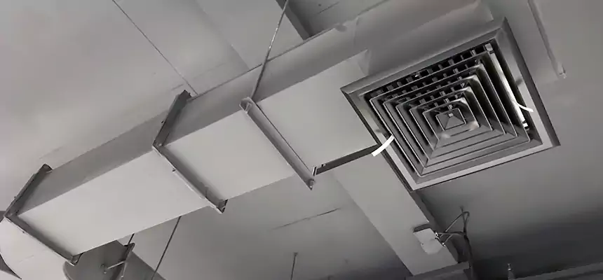 Restorative Allergy Relief Vent Cleaning – Coil, Blower & Housing Detail in Elizabeth