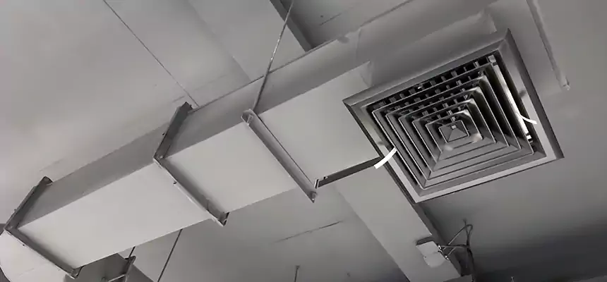 Our Pest Removal From Ducts Services in Elizabeth, NJ