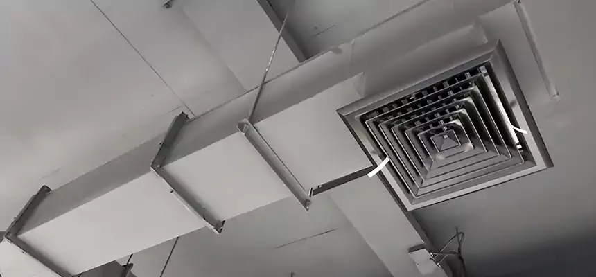 Our Rodent Droppings In Vents Services in Elizabeth, NJ