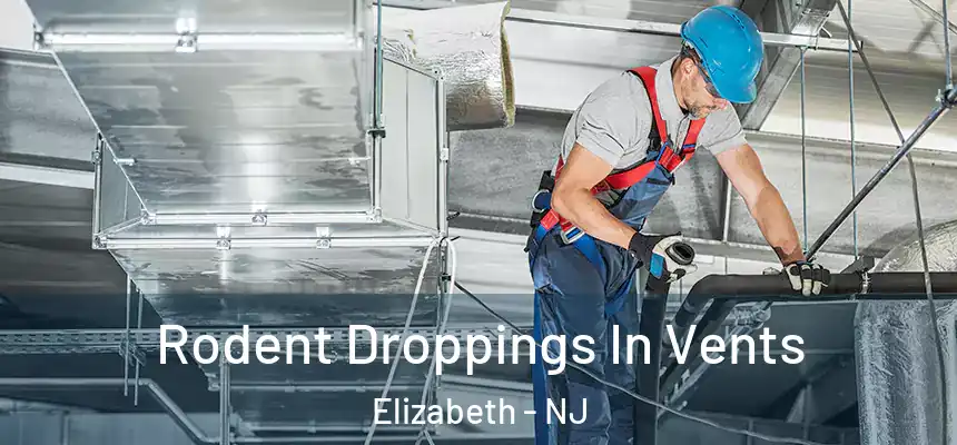 Rodent Droppings In Vents Elizabeth - NJ