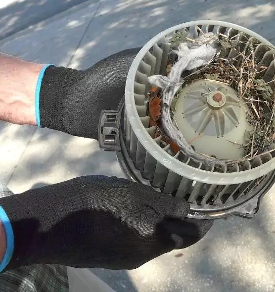 About Air Duct Mice Removal in Elizabeth, NJ