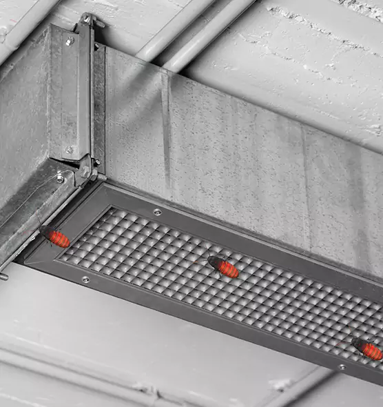 Affordable Insect Removal from Air Ducts in Elizabeth, NJ