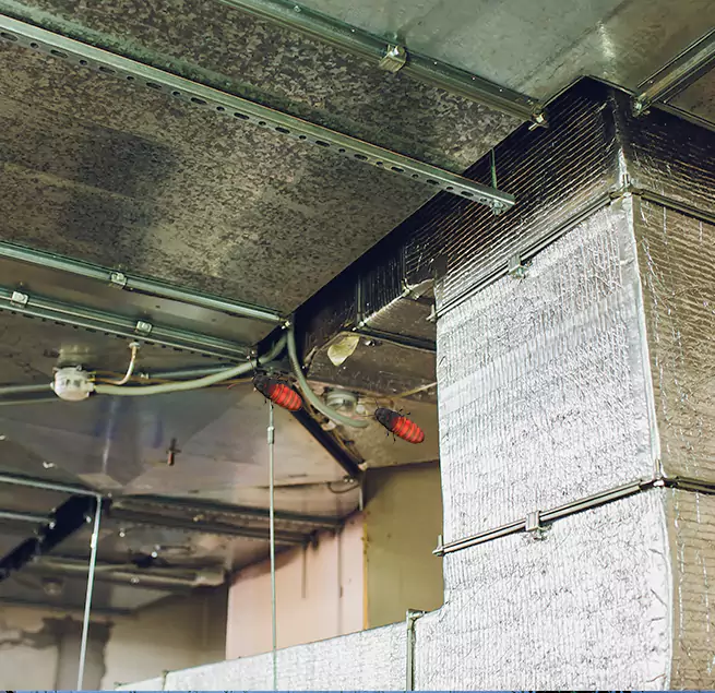 Why Homeowners & Businesses Trust Us in Elizabeth, NJ?