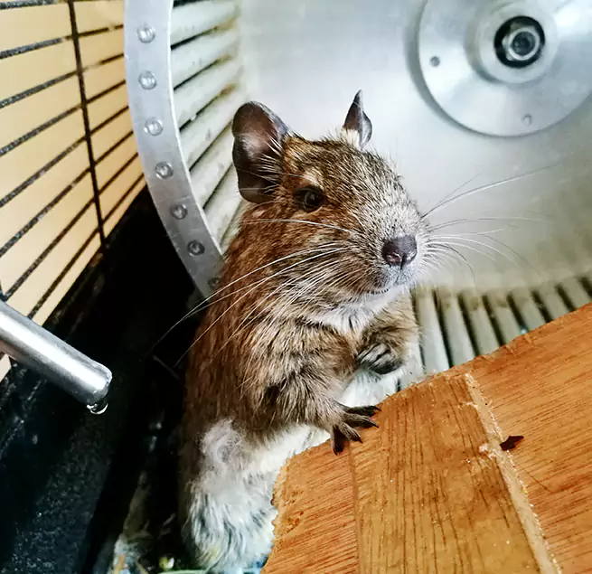 Why Homeowners & Businesses Trust Us Elizabeth, NJ?